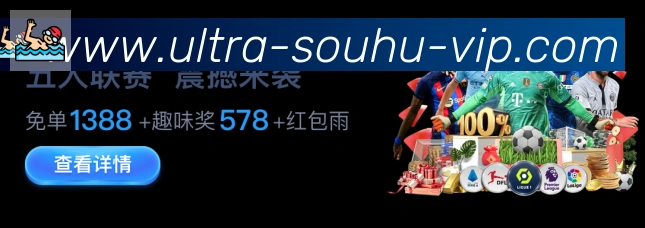 互动解说服务